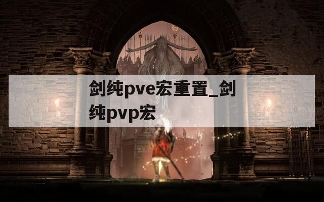 剑纯pve宏重置_剑纯pvp宏