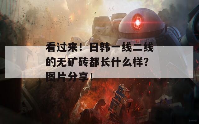 看过来！日韩一线二线的无矿砖都长什么样？图片分享！