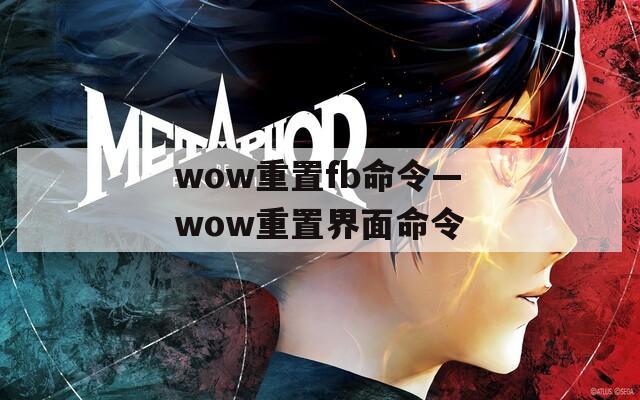 wow重置fb命令—wow重置界面命令