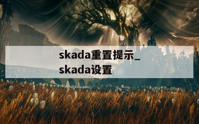 skada重置提示_skada设置