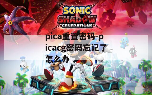 pica重置密码-picacg密码忘记了怎么办