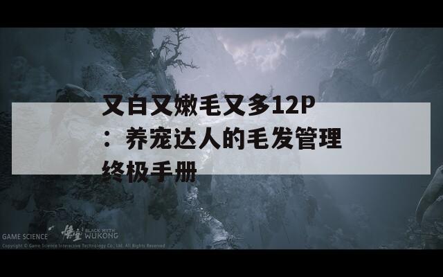 又白又嫩毛又多12P：养宠达人的毛发管理终极手册