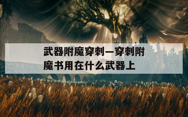 武器附魔穿刺—穿刺附魔书用在什么武器上